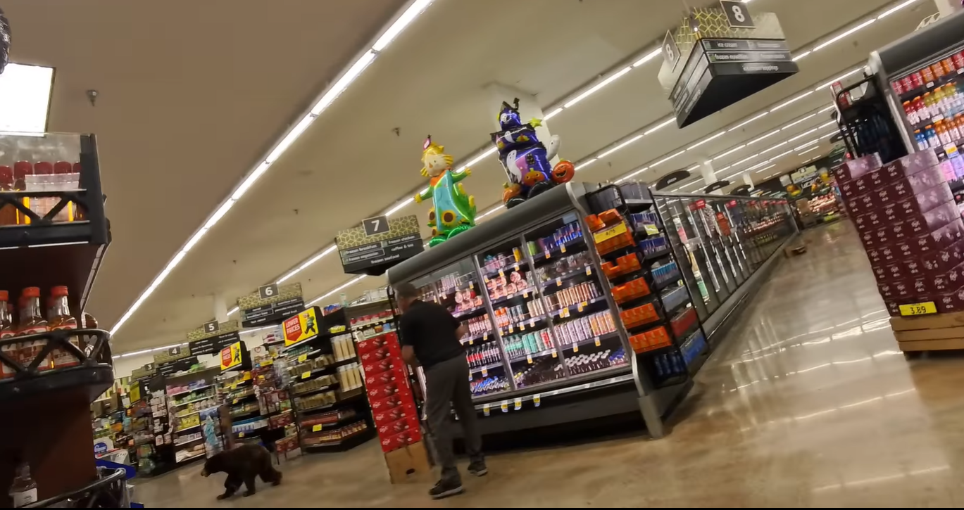 Un OSO en el Fry’s