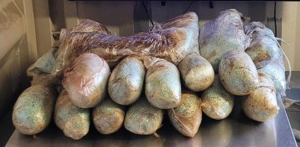 CBP reporta dos decomisos de droga en garitas de Nogales esta semana