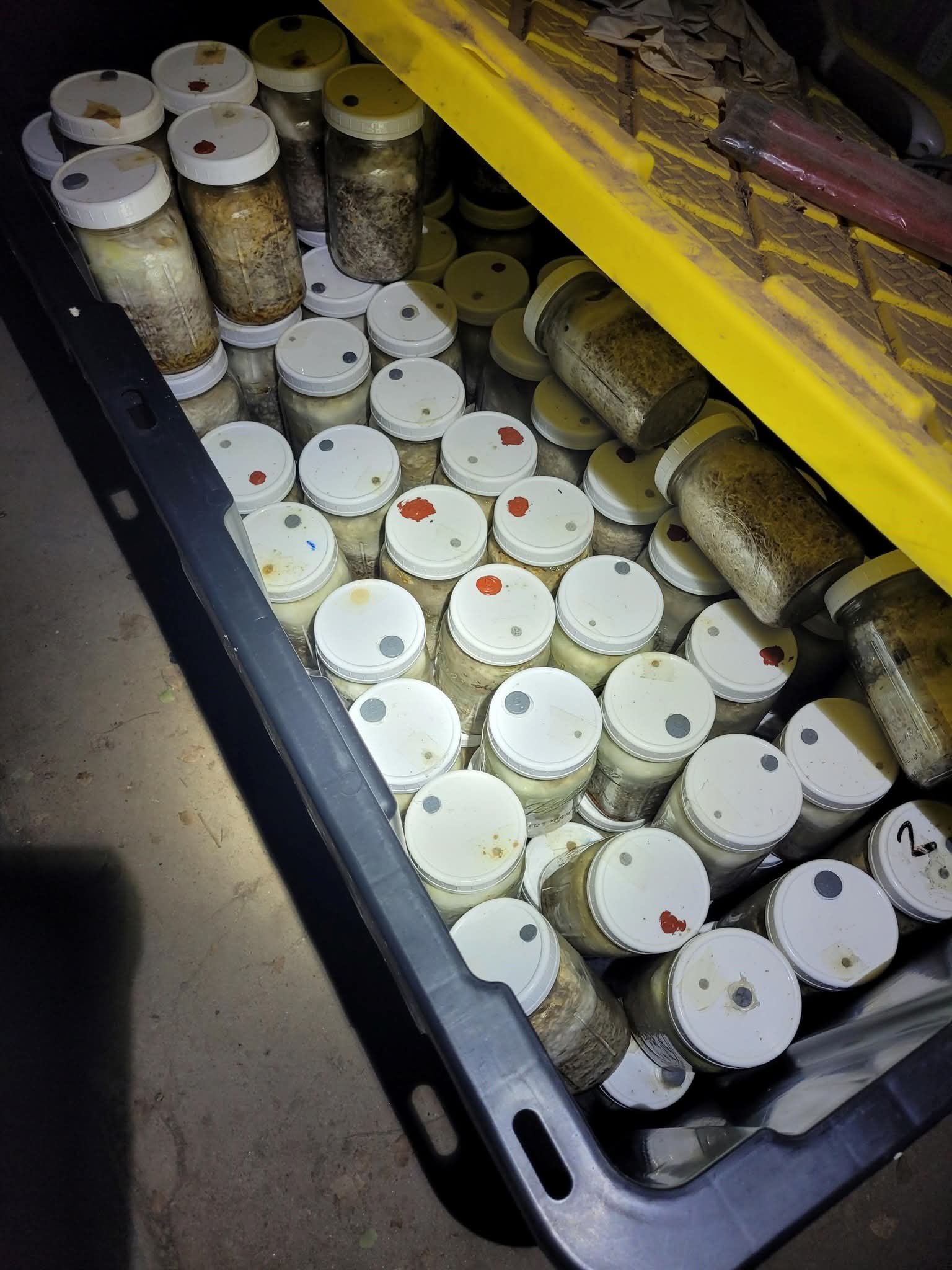 CBP y Troopers de Arizona desmantelan operación de drogas en Phoenix